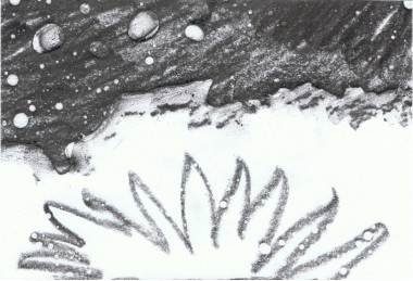 oeuvre